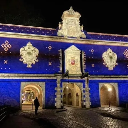 La Petite Place De La Porte De Gand Lila